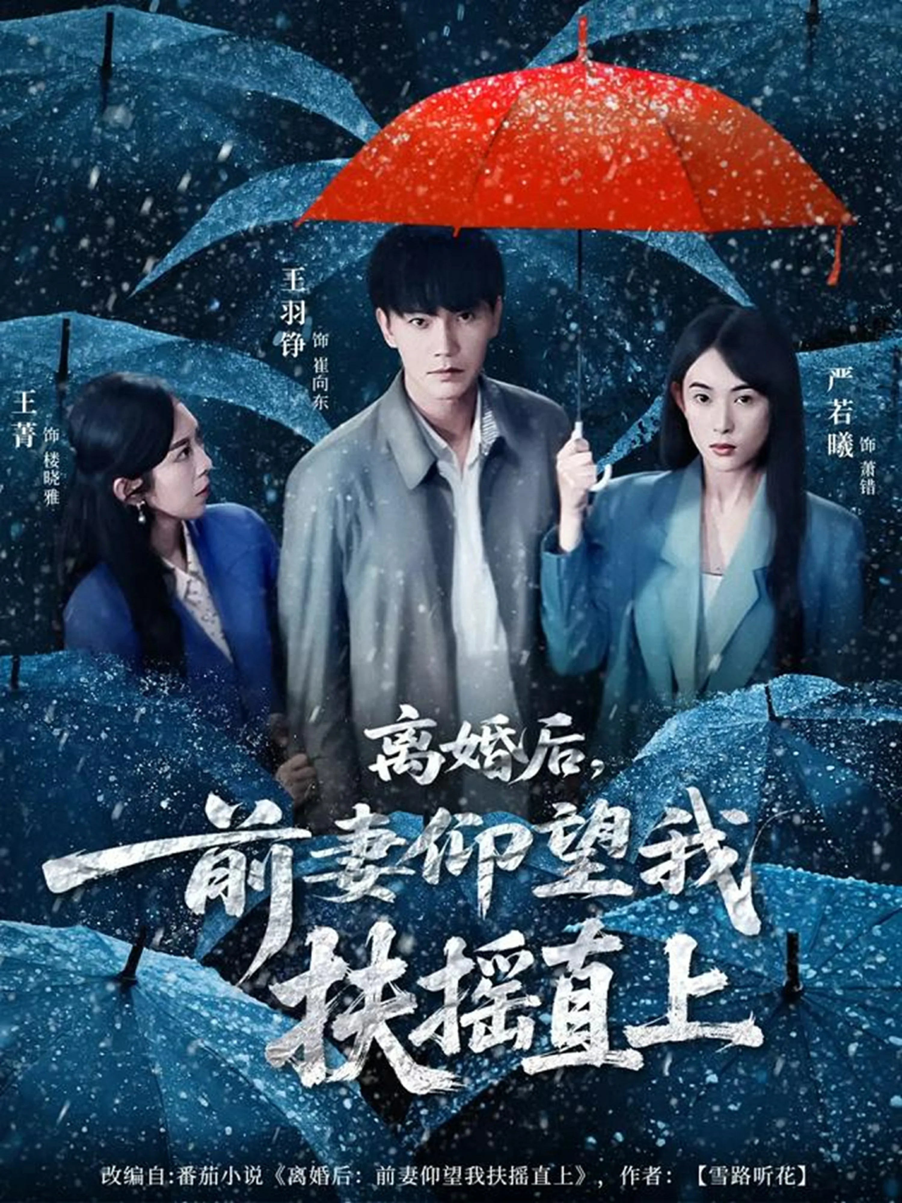 离婚后，前妻仰望我扶摇直